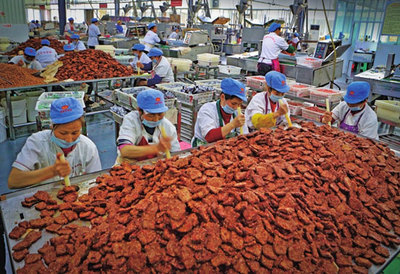 提質拓展 創新爭優